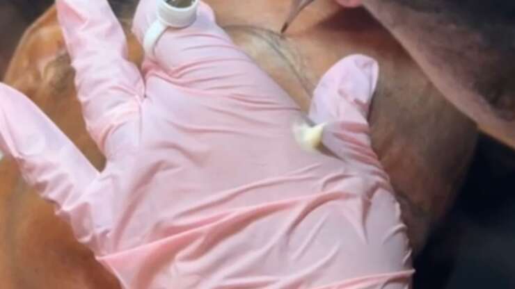 Microblading /  Microshading